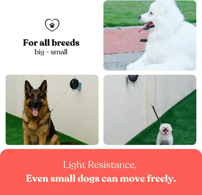 Heavy Duty Wall Mount Retractable Dog Tie out Cable for Small to Large Dogs-No Tangle Tie out Extends to 16.5 Ft